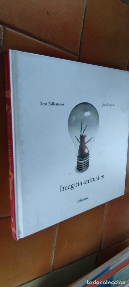 Libros de segunda mano: IMAGINA ANIMALES / KALANDRAKA / PU-SA-6