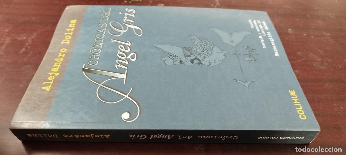 Libros de segunda mano: CRONICAS DEL ANGEL GRIS / ALEJANDRO DOLINA / Z500 / COLIHUE