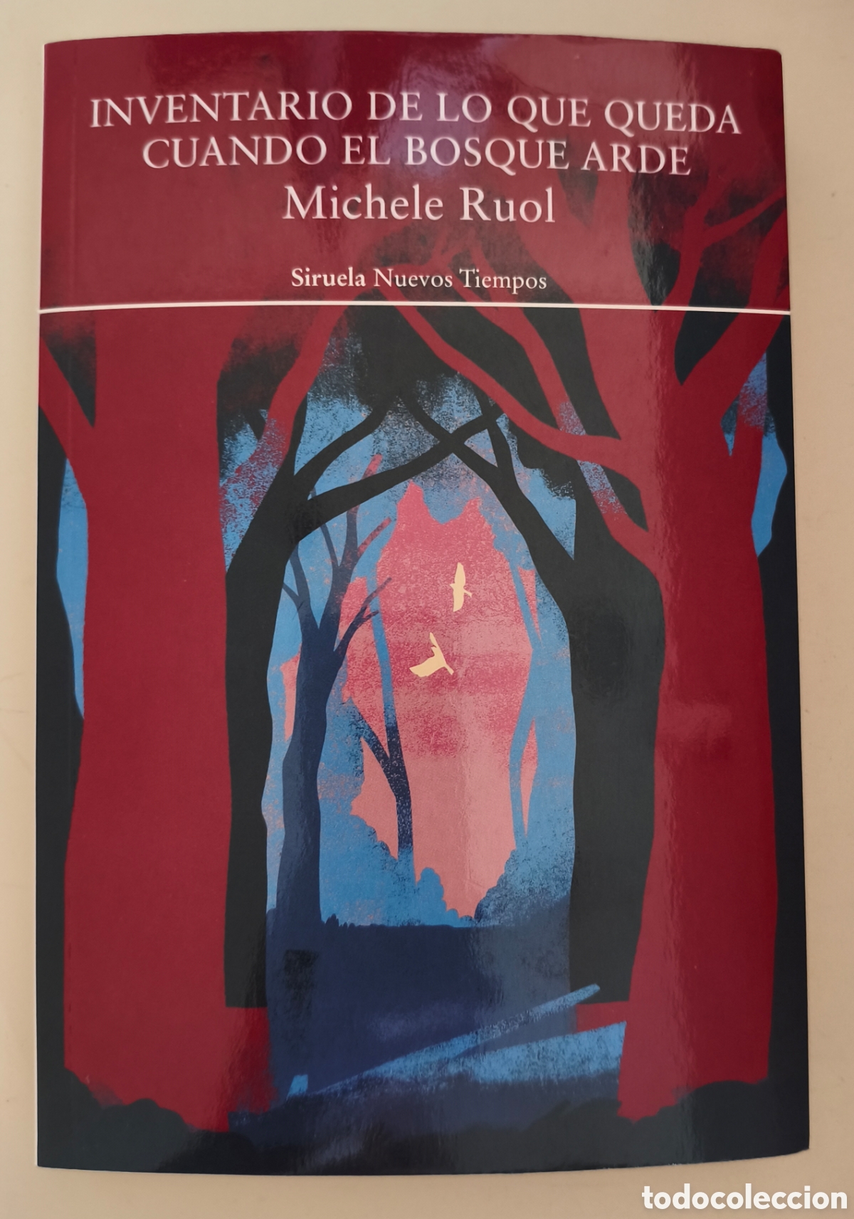 Libros de segunda mano: Inventario de lo que queda cuando el bosque arde, Michele Ruol. Ed. Siruela 9791388032523