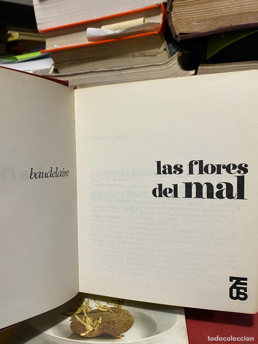 Libros de segunda mano: LAS FLORES DEL MAL, BAUDELAIRE
