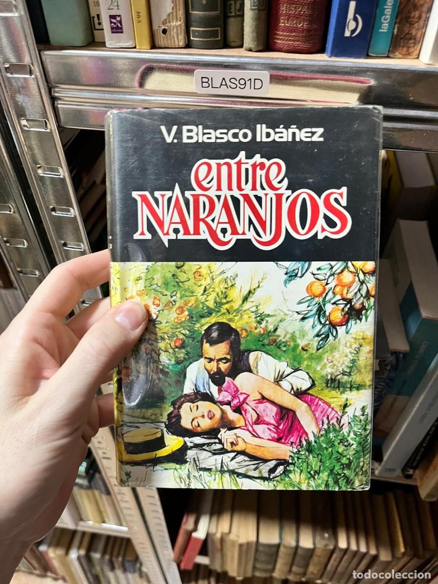 Libros de segunda mano: BLAS91D Vicente Blasco Ib&aacute;&ntilde;ez &mdash; Entre naranjos