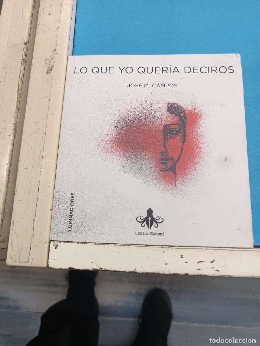 Libros de segunda mano: LO QUE YO QUERIA DECIROS JOSE M.CAMPOS ILUMINACIONES LAPSUA CALAMI