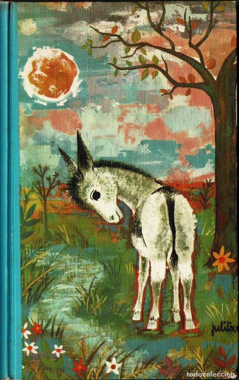 Libros de segunda mano: Platero y yo. Elej&iacute;a andaluza - Juan Ram&oacute;n Jim&eacute;nez