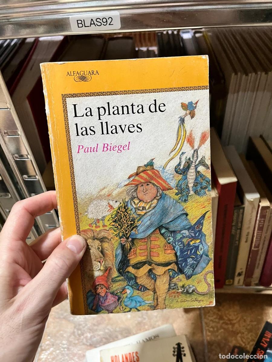 Libros de segunda mano: BLAS92 Paul Biegel La planta de las llaves (Alfaguara)