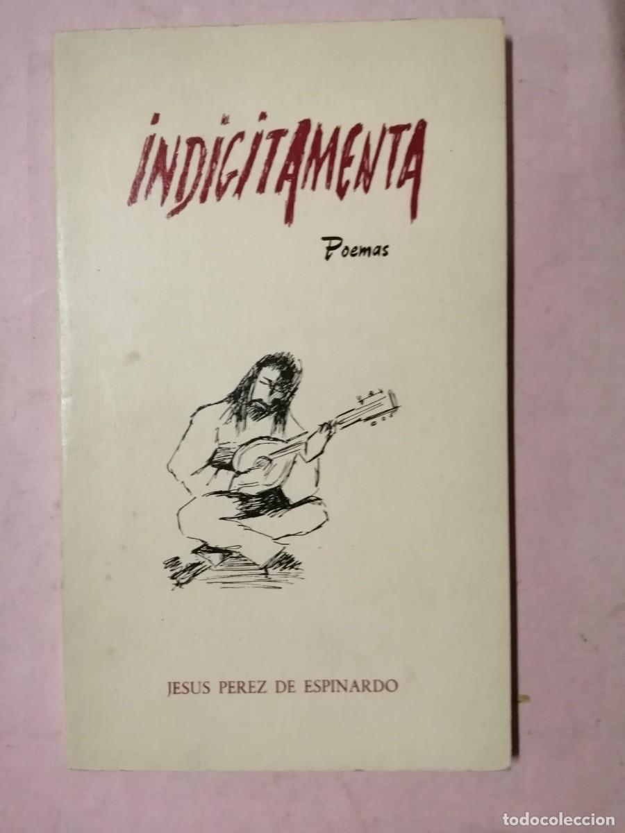 Libros de segunda mano: INDIGITAMENTA (JESUS PEREZ DE ESPINARDO)