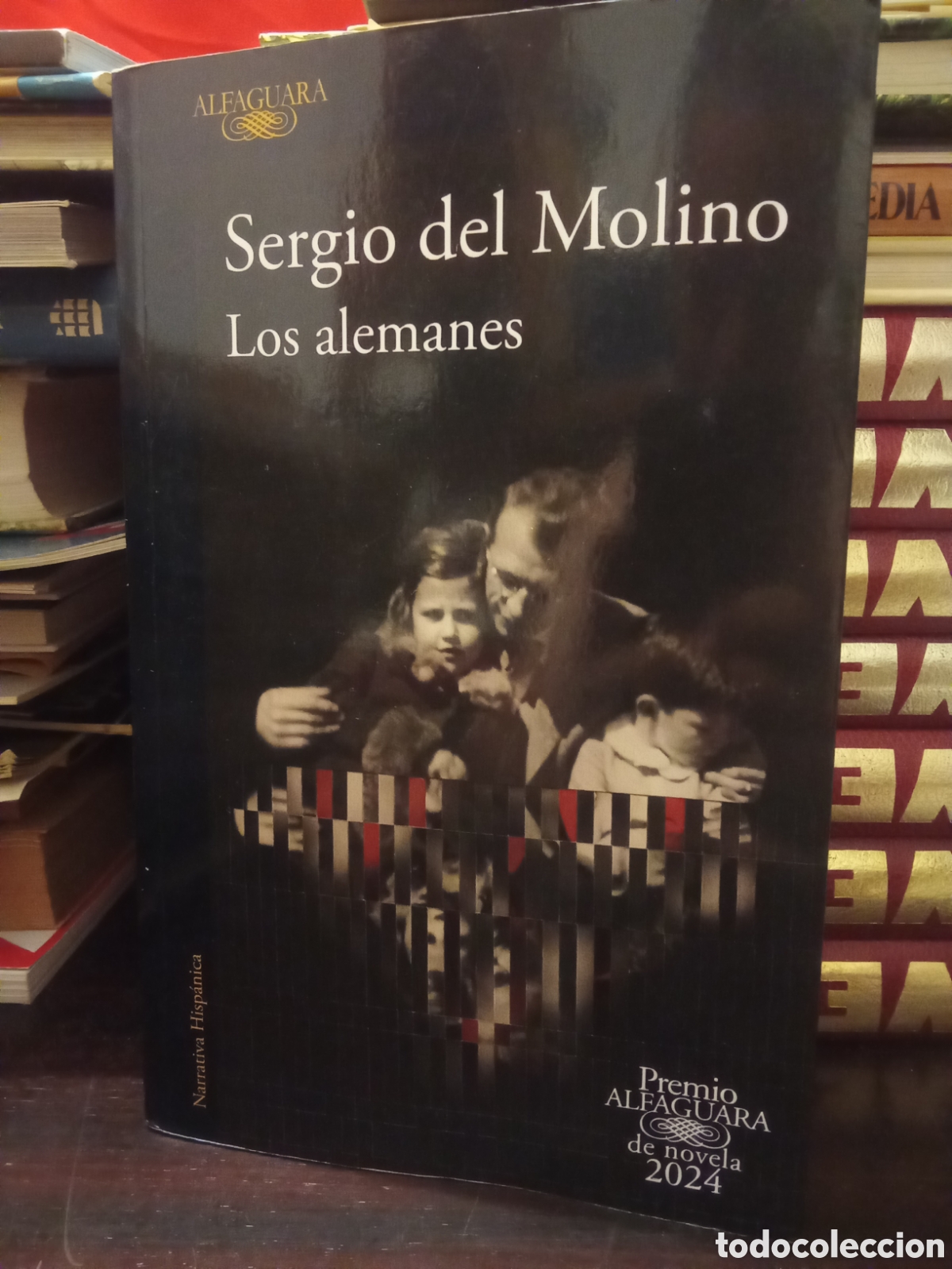 Libros de segunda mano: Sergio de Molino - Los alemanes - PREMI&Oacute; ALFAGUARA de novela 2024