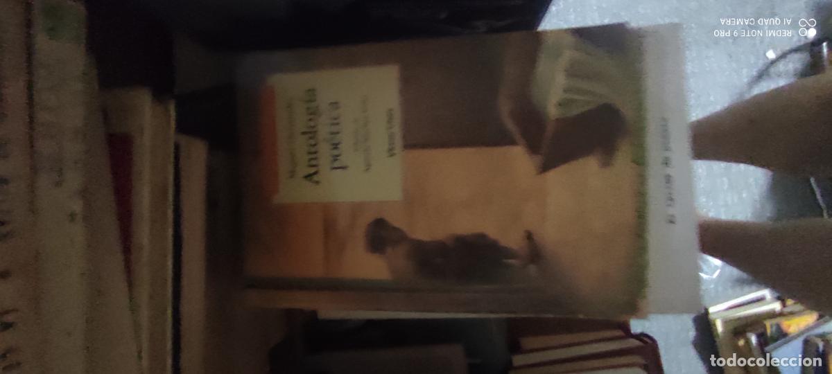 Libros de segunda mano: Miguel Hern&aacute;ndez. Antolog&iacute;a