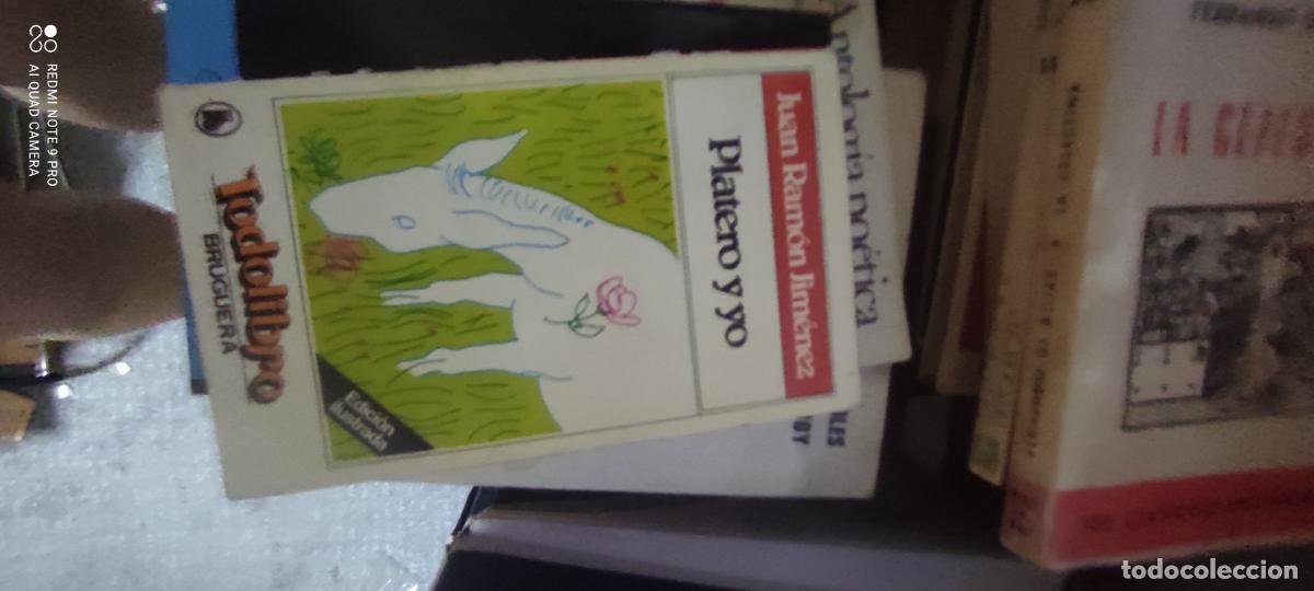 Libros de segunda mano: Platero y yo. Libro.