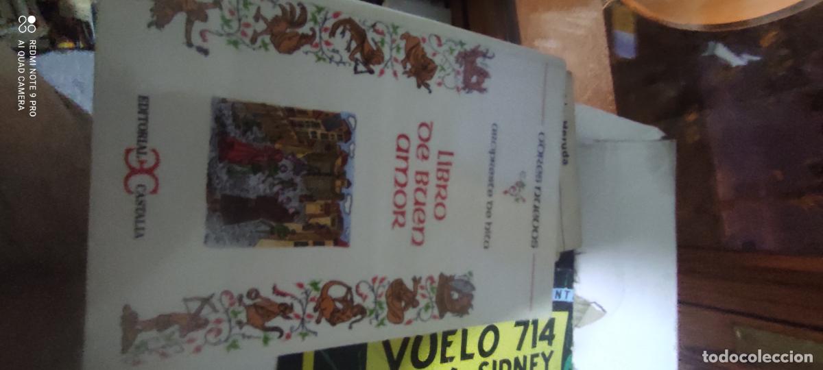 Libros de segunda mano: El libro del buen amor