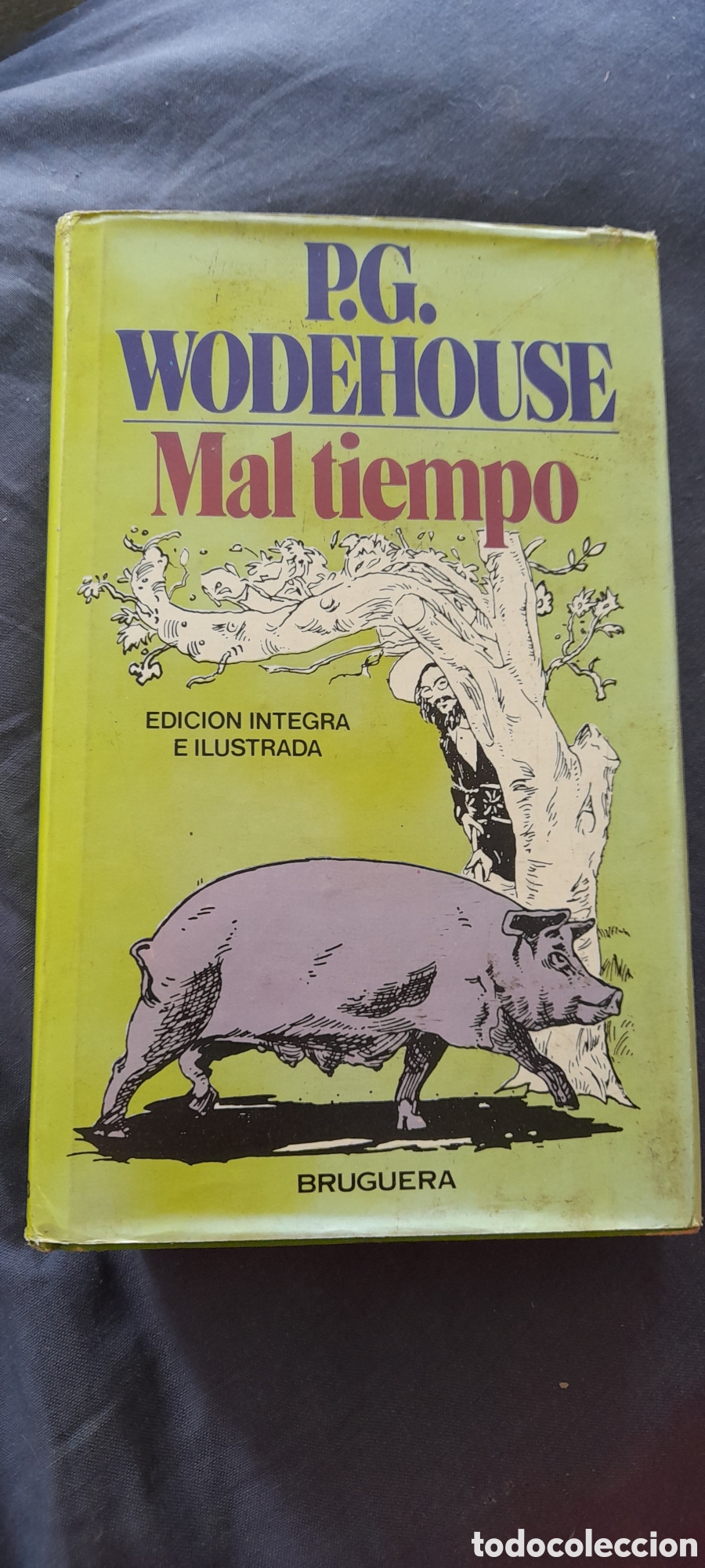 Libros de segunda mano: Mal tiempo. P.G. Wodehouse