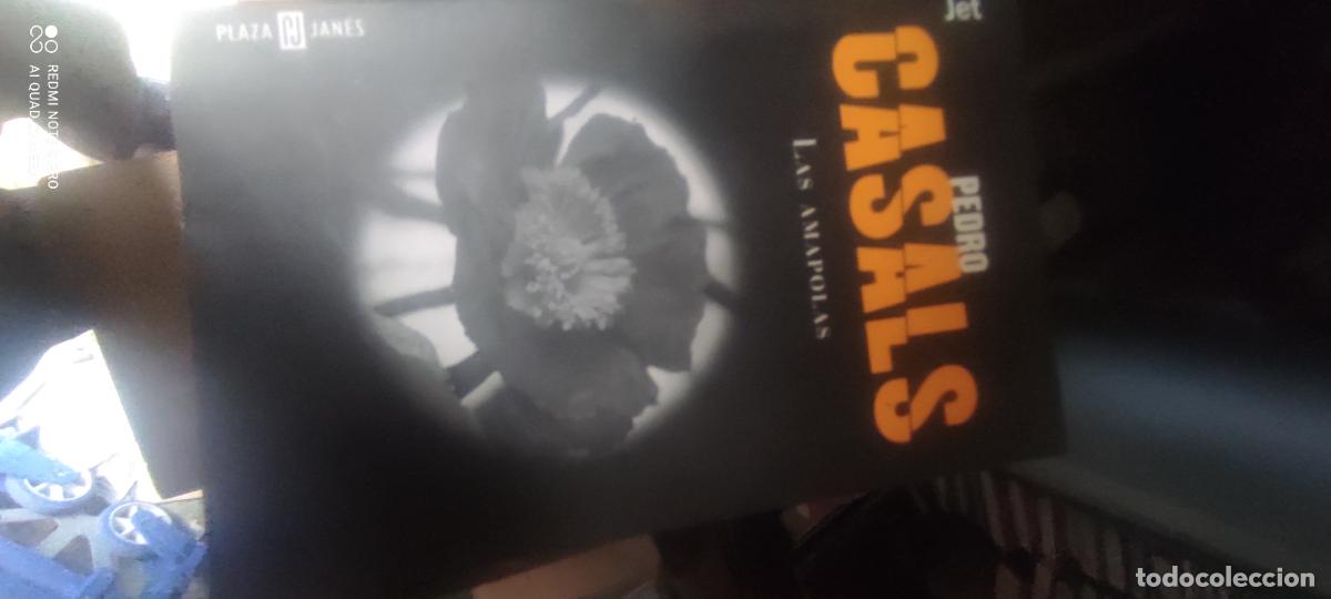 Libros de segunda mano: P. Casals. Las amapolas