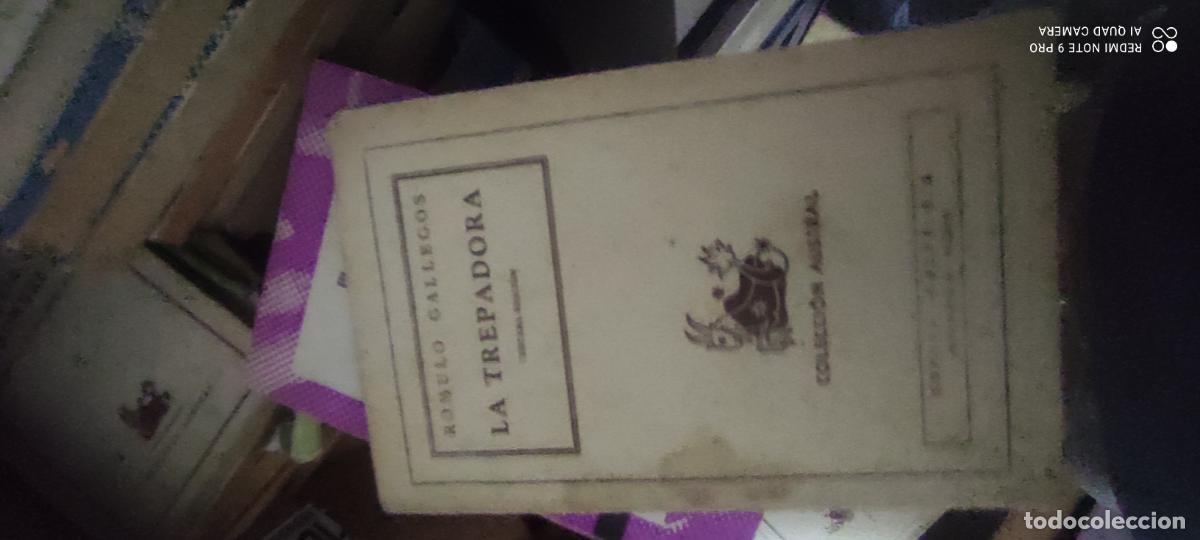 Libros de segunda mano: Gallegos. la trepadora