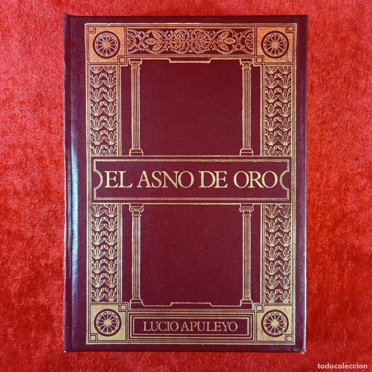 Libros de segunda mano: EL ASNO DE ORO - LUCIO APULEYO - CLUB INTERNACIONAL DEL LIBRO - 1983 / 270