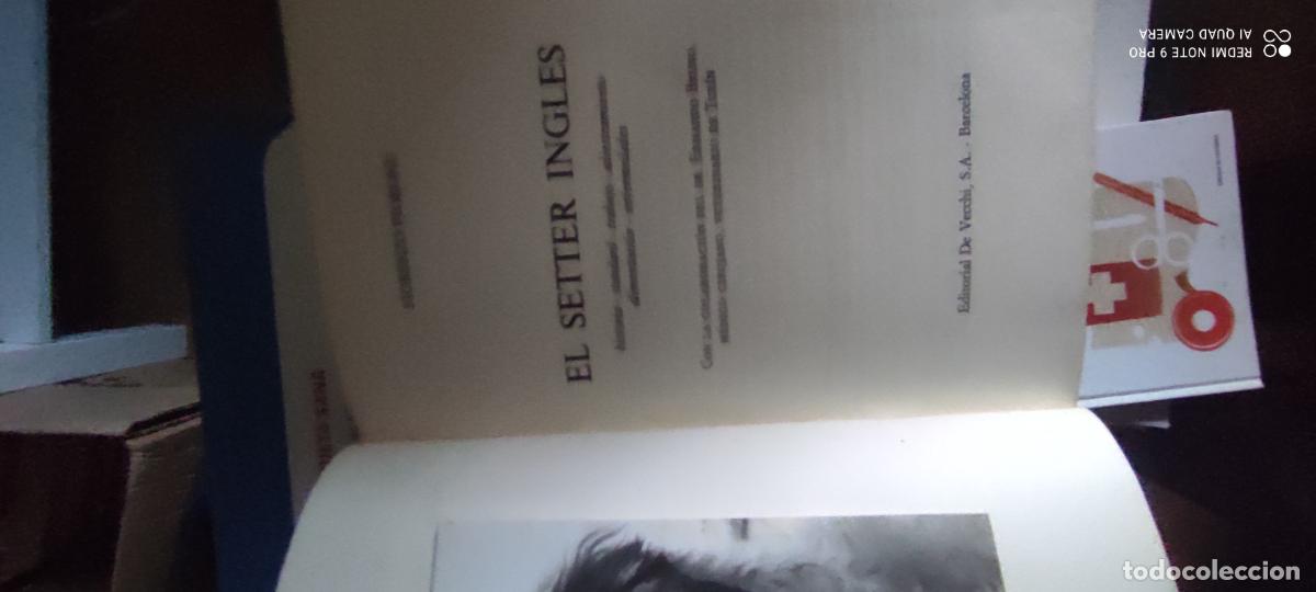 Libros de segunda mano: EL SETTER INGLES FLORENZO FIORONE l