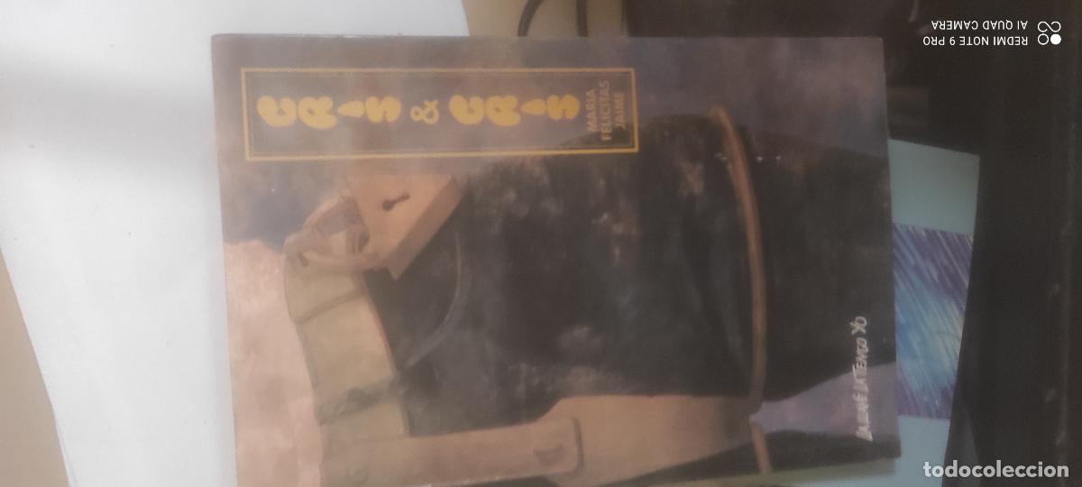 Libros de segunda mano: Cris & Cris. Colecci&oacute;n La llave la tengo yo. - Mar&iacute;a Felicitas Jaime