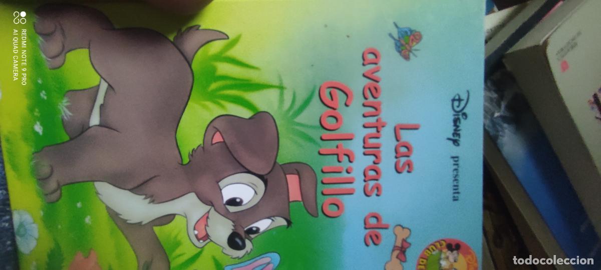 Libros de segunda mano: Las aventuras de golfillo