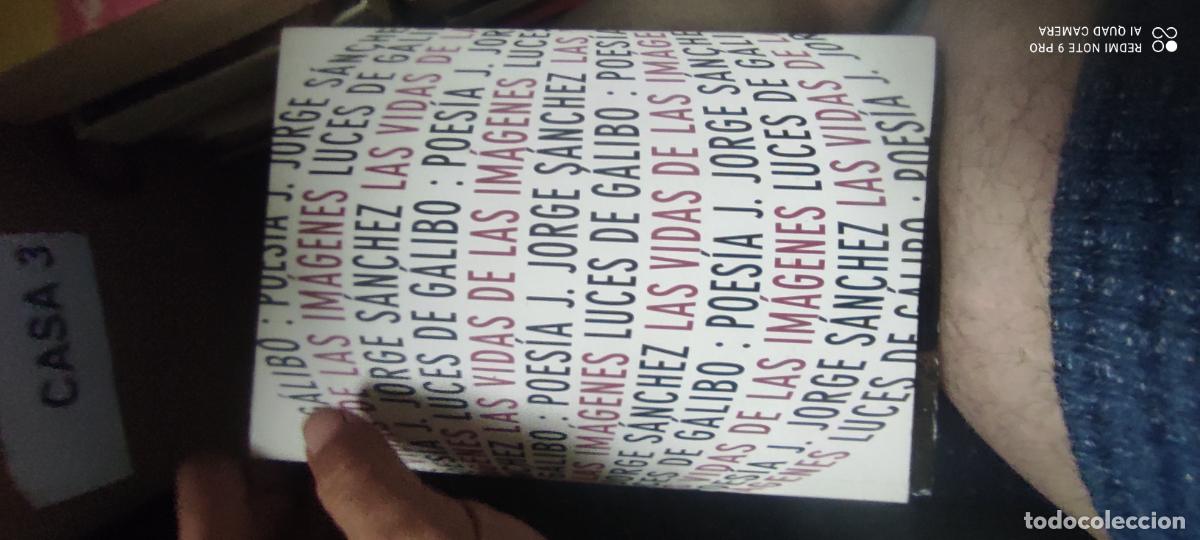 Libros de segunda mano: Las vidas de las im&aacute;genes. Luces de Galibo.
