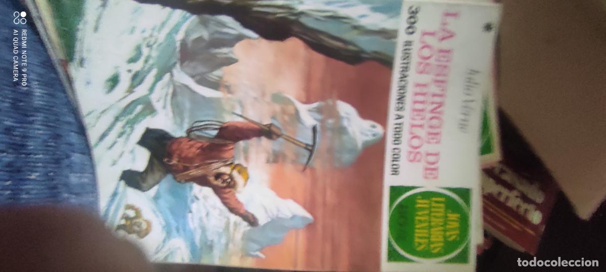 Libros de segunda mano: joyas literarias juveniles. La esfinge de los hielos