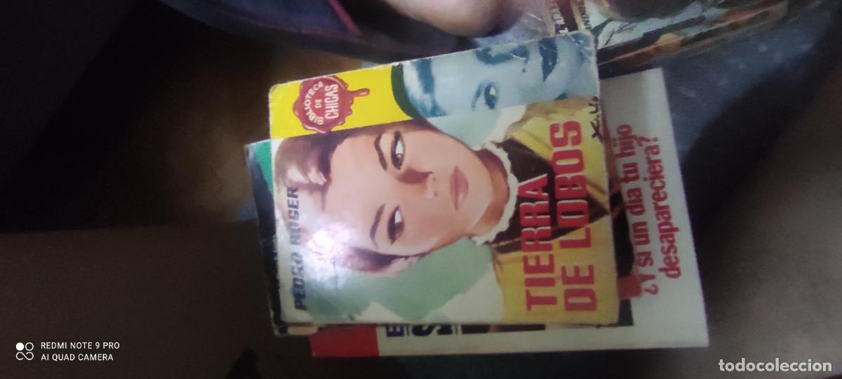 Libros de segunda mano: Pedro Roger. Tierra de lobos