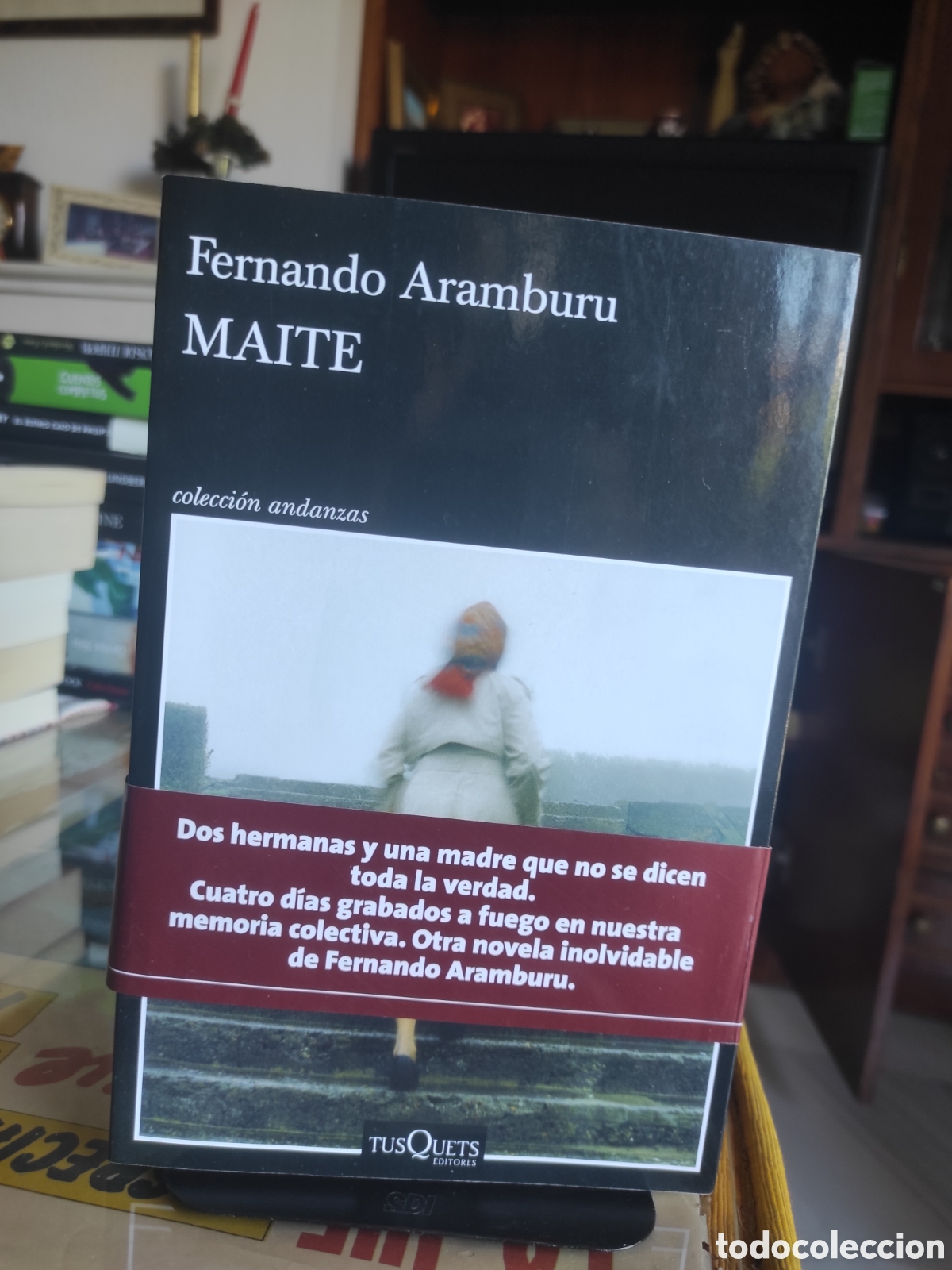 Libros de segunda mano: Maite - Aramburu, Fernando