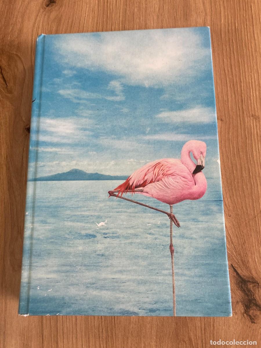 Libros de segunda mano: Flor de sal Susana L&oacute;pez Rubio