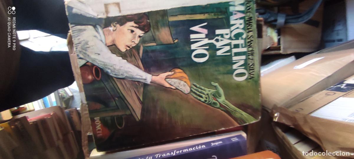 Libros de segunda mano: Marcelino, pan y vino l