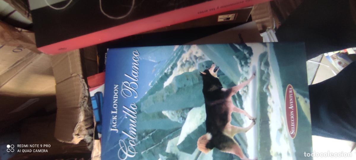 Libros de segunda mano: Jack London Colmillo blanco