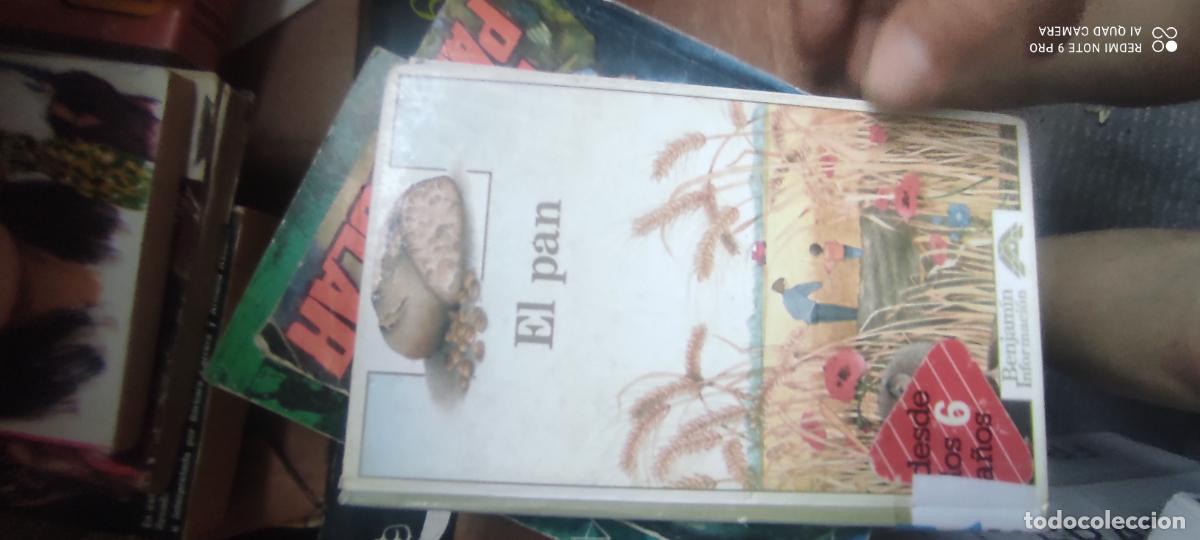 Libros de segunda mano: EL PAN. COL. ALTEA BENJAM&Iacute;N)