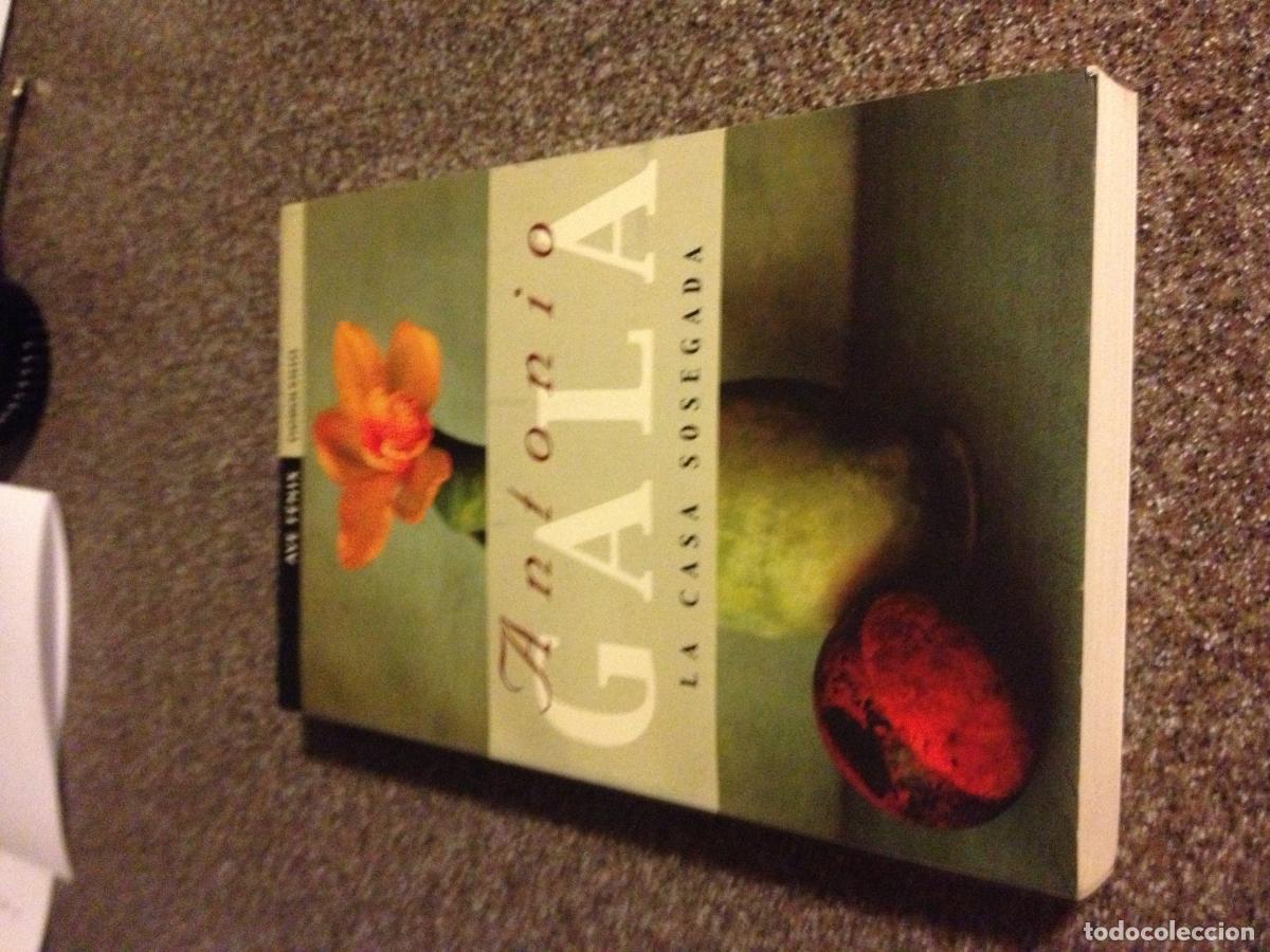 Libros de segunda mano: La casa sosegada - GALA VELASCO, ANTONIO