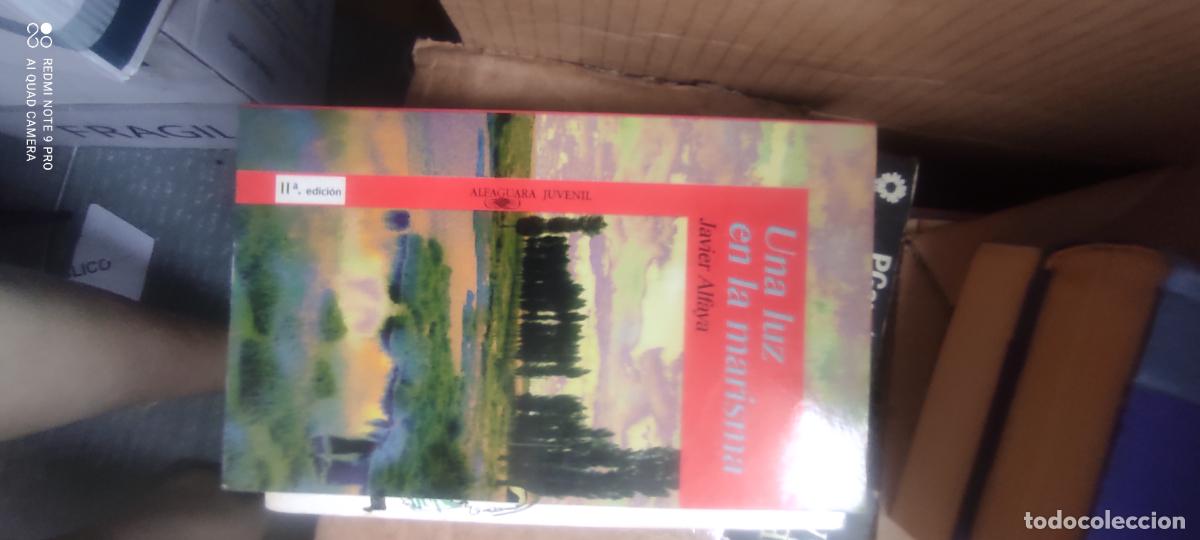 Libros de segunda mano: Una luz en la marisma - Javier Alfaya