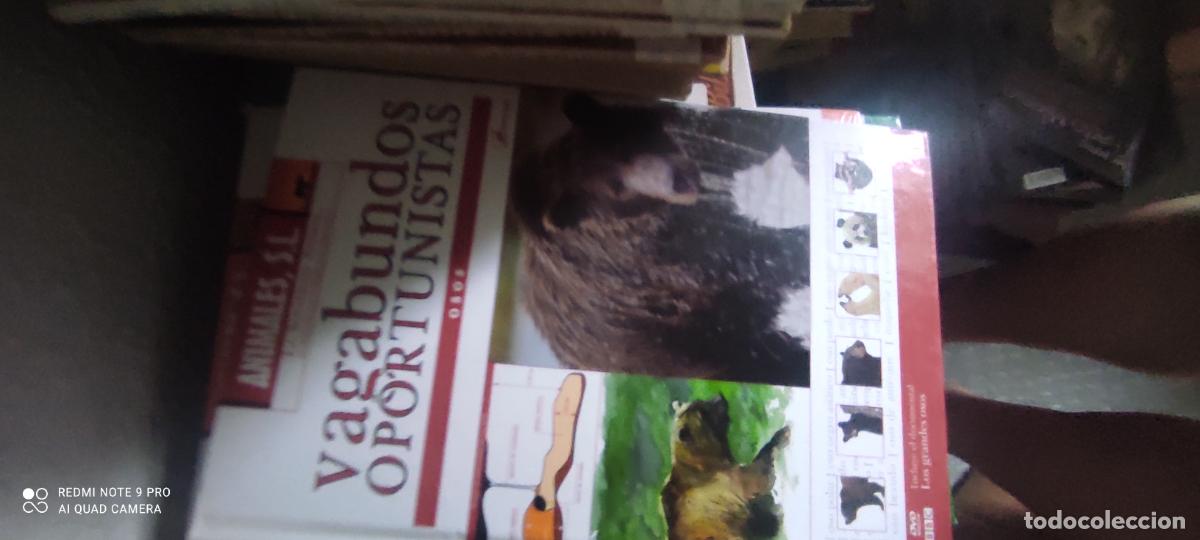 Libros de segunda mano: Animales S L - Hace Millones de A&ntilde;os, La Era de los Mam&iacute;feros- libro