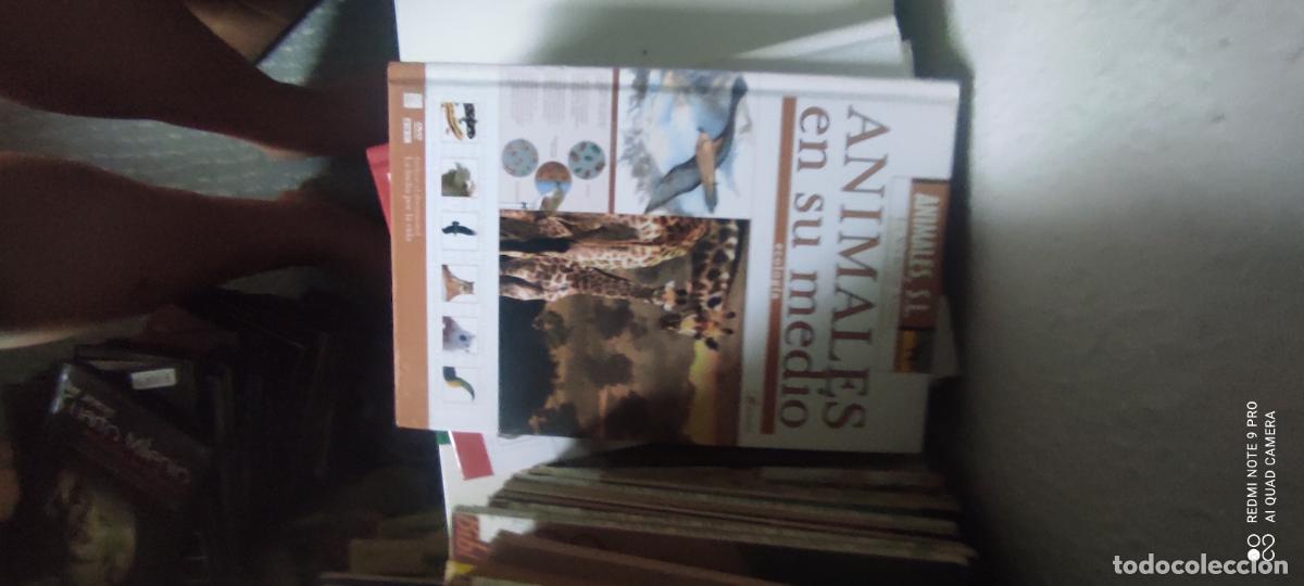 Libros de segunda mano: LIBRO ANIMALES S.L. Animales en su medio