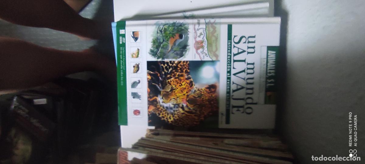 Libros de segunda mano: ANIMALES S.L. Un mundo salvje