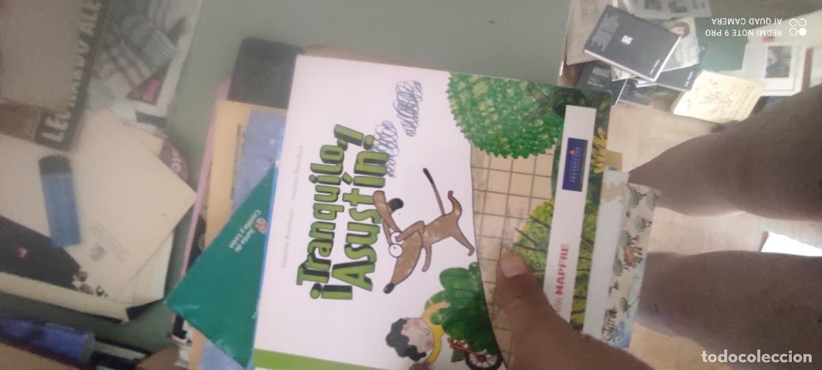 Libros de segunda mano: TRANQUILO ASUST&Iacute;N. GABRIELA KESSELMAN. FUNDACI&Oacute;N MAPFRE.