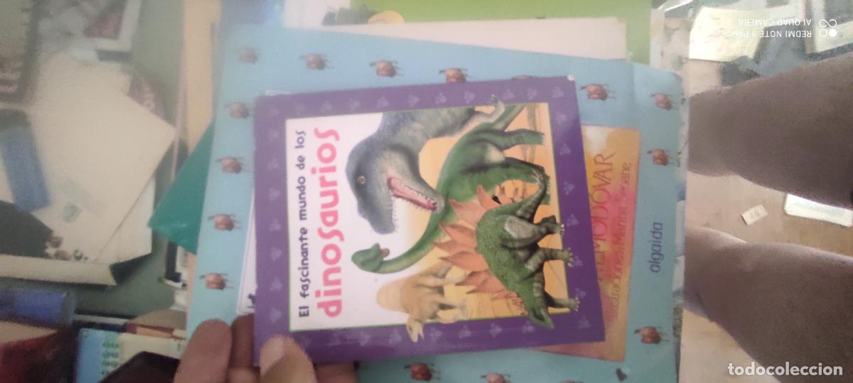 Libros de segunda mano: EL FASCINANTE MUNDO DE LOS DINOSAURIOS