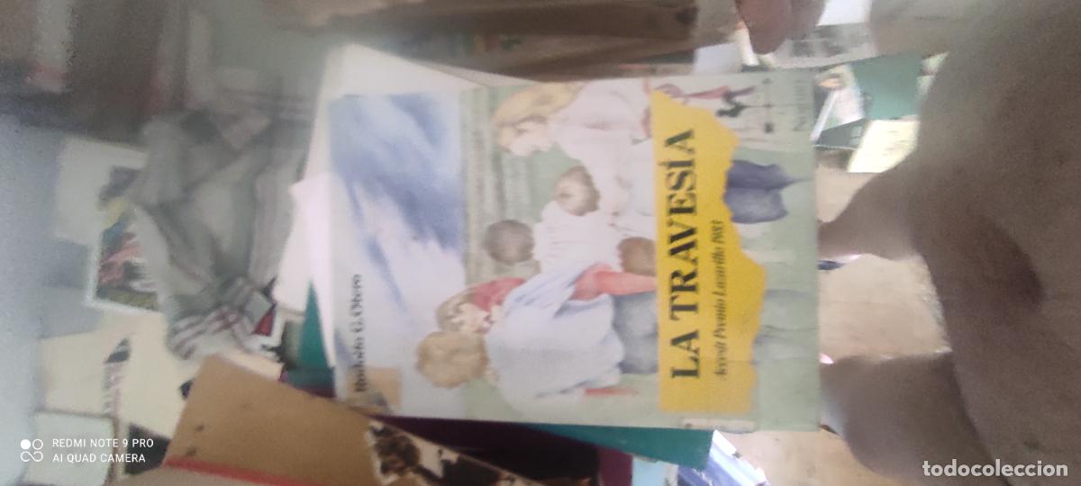 Libros de segunda mano: LA TRAVESIA. RODOLFO G. OTERO. EDITORIAL NOGUER.