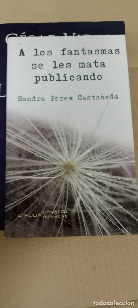 Libros de segunda mano: A LOS FANTASMAS SE LES MATA PUBLICANDO SANDRA PEREZ CASTA&Ntilde;EDA LIBRO GG-OT