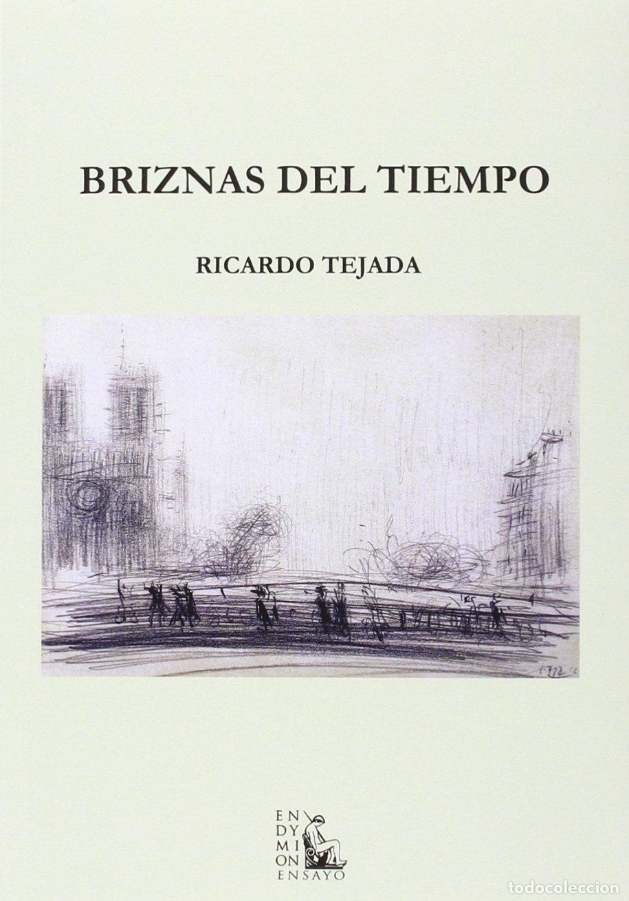 Libros de segunda mano: Briznas del tiempo: Bit&aacute;cora de 2011 (SIN COLECCION)