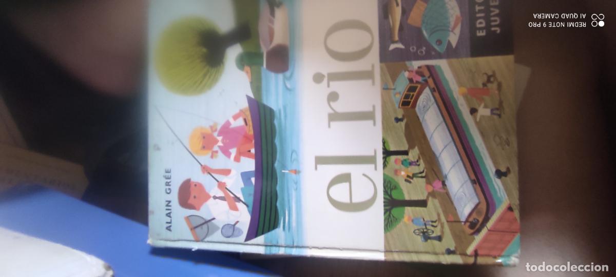 Libros de segunda mano: EL RIO EDITORIAL JUVENTUD ALAIN GREE 1977