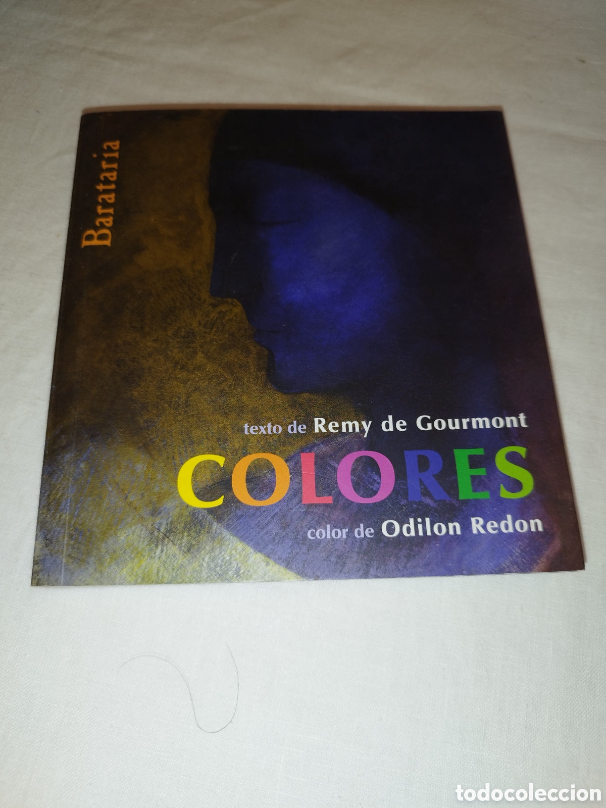 Libros de segunda mano: REMY DE GOURMONT / ODILON REDON: COLORES. ED. BARATARIA, 2008 PRIMERA EDICION ILUSTRADO