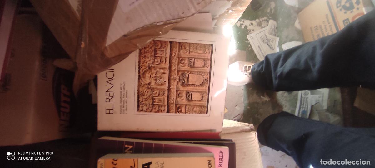 Libros de segunda mano: El renacimiento. Antonio Dom&iacute;nguez Ortiz