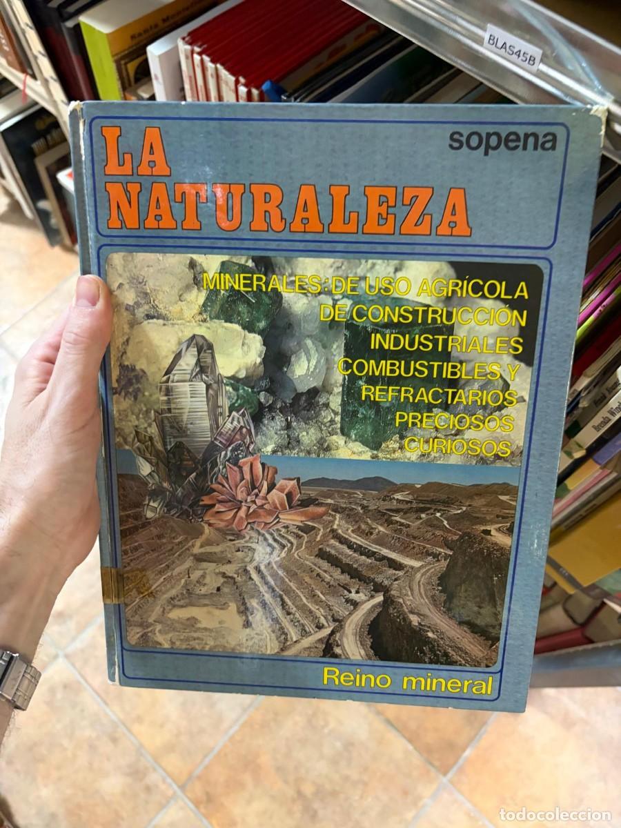Libros de segunda mano: BLAS45B La Naturaleza: Reino mineral. Sopena.