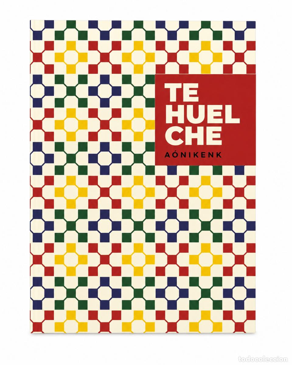 Libros de segunda mano: Tehuelche. A&oacute;nikenk LM