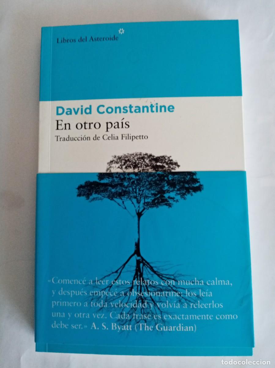 Libros de segunda mano: EN OTRO PAIS . David Constantine ( LIBROS DEL ASTEROIDE ) - Foto 1