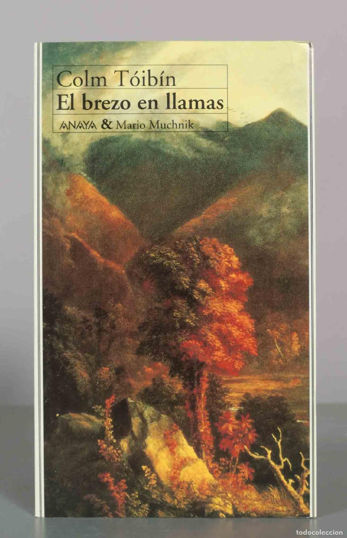 Libros de segunda mano: Colm T&oacute;ib&iacute;n El brezo en llamas