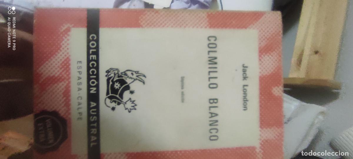 Libros de segunda mano: Jack London. Colmillo blanco austral