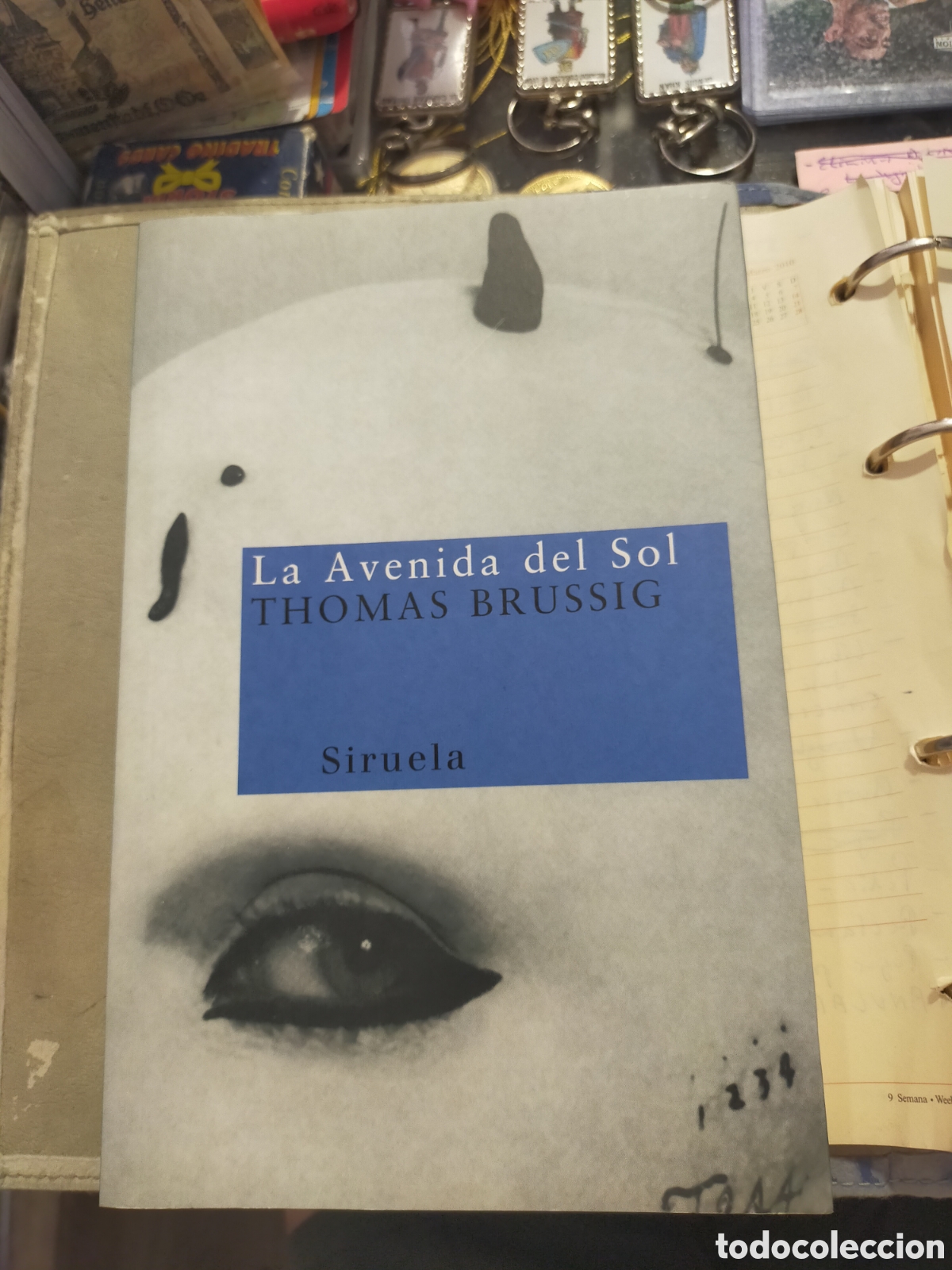 Libros de segunda mano: LA AVENIDA DEL SOL THOMAS BRUSSIG SIRUELA