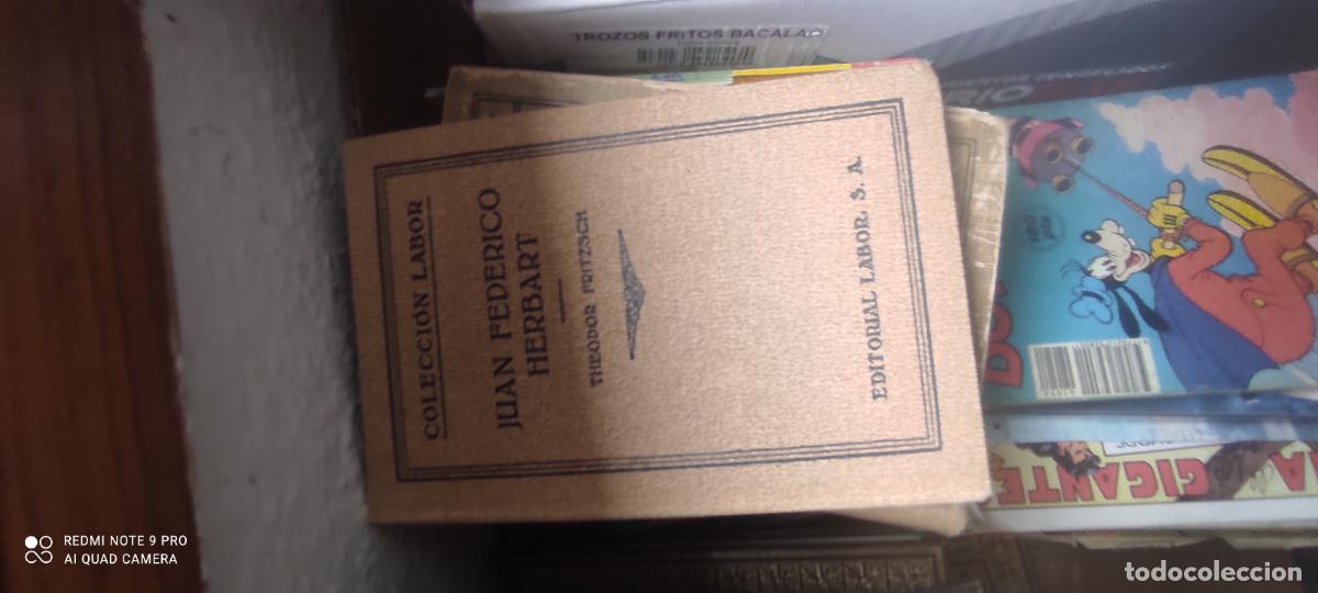 Libros de segunda mano: JUAN FEDERICO HERBART. Theodor Fritzsch. Colecci&oacute;n Labor, 11. Editorial Labor 1932