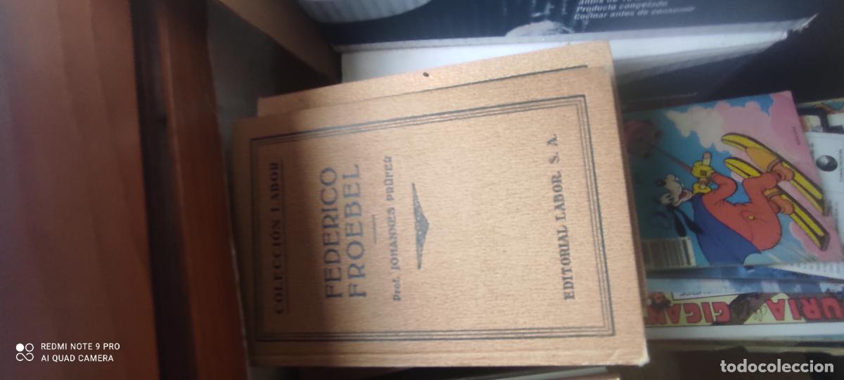 Libros de segunda mano: FEDERICO FROEBEL. PRUFER