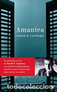 Libros de segunda mano: Amantea: 159 (Novelas ficci&oacute;n)